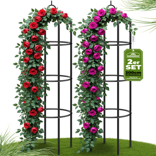 Set 2 x Pilastri per rose metallo nero 200x40cm