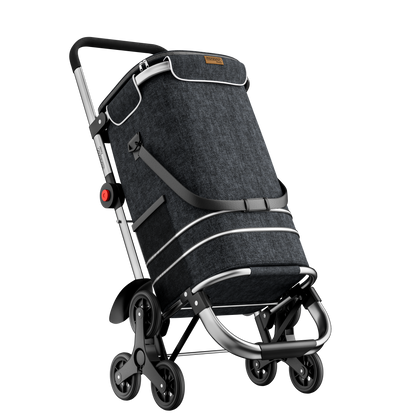 Carrellino della spesa 2in1 Nero