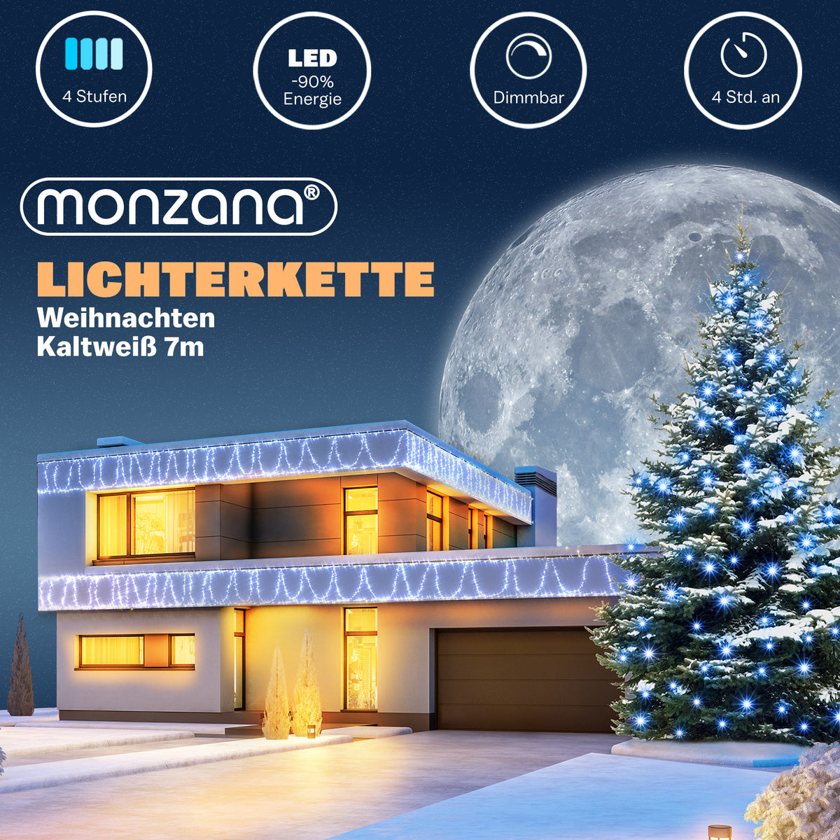 Luci di Natale bianco freddo 7m con timer
