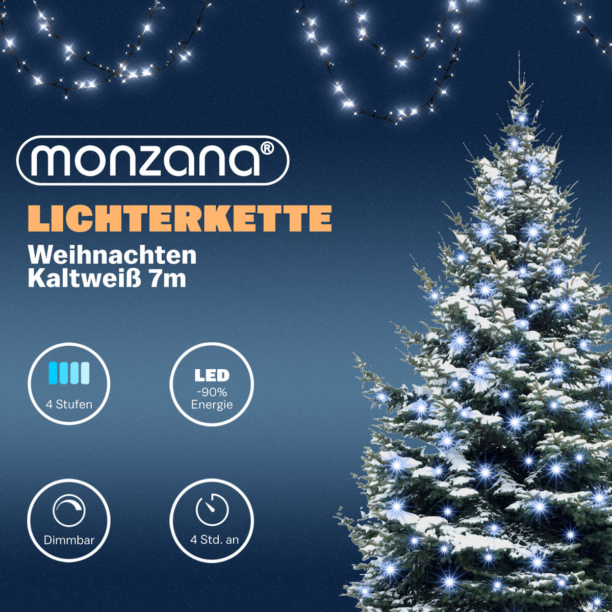 Luci di Natale bianco freddo 7m con timer