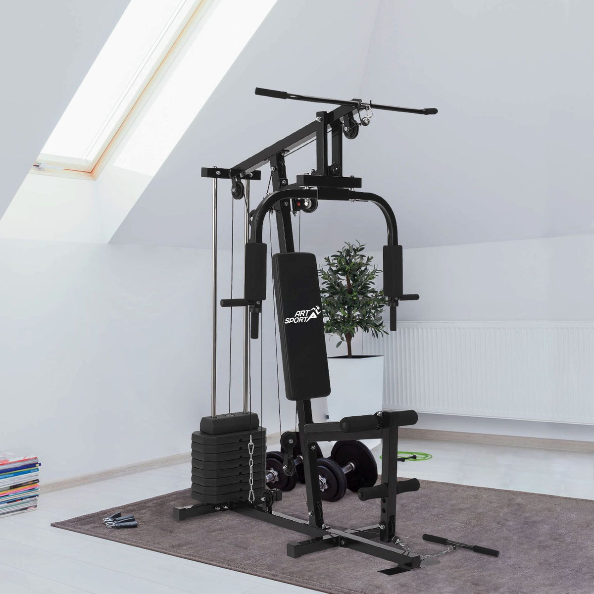 Stazione pesi ProfiGym 2000