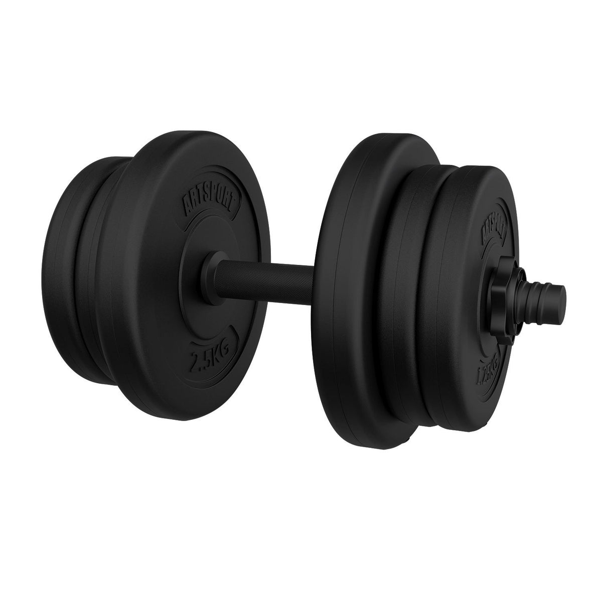 Set di manubri da 20 kg