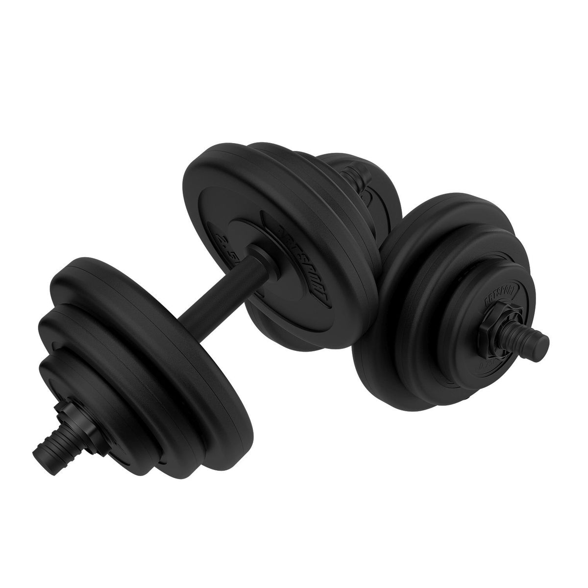 Set di manubri da 20 kg