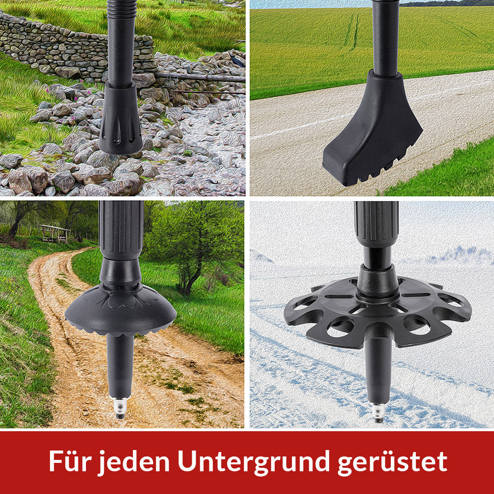 Racchette da Nordic Walking regolabili grigio alluminio