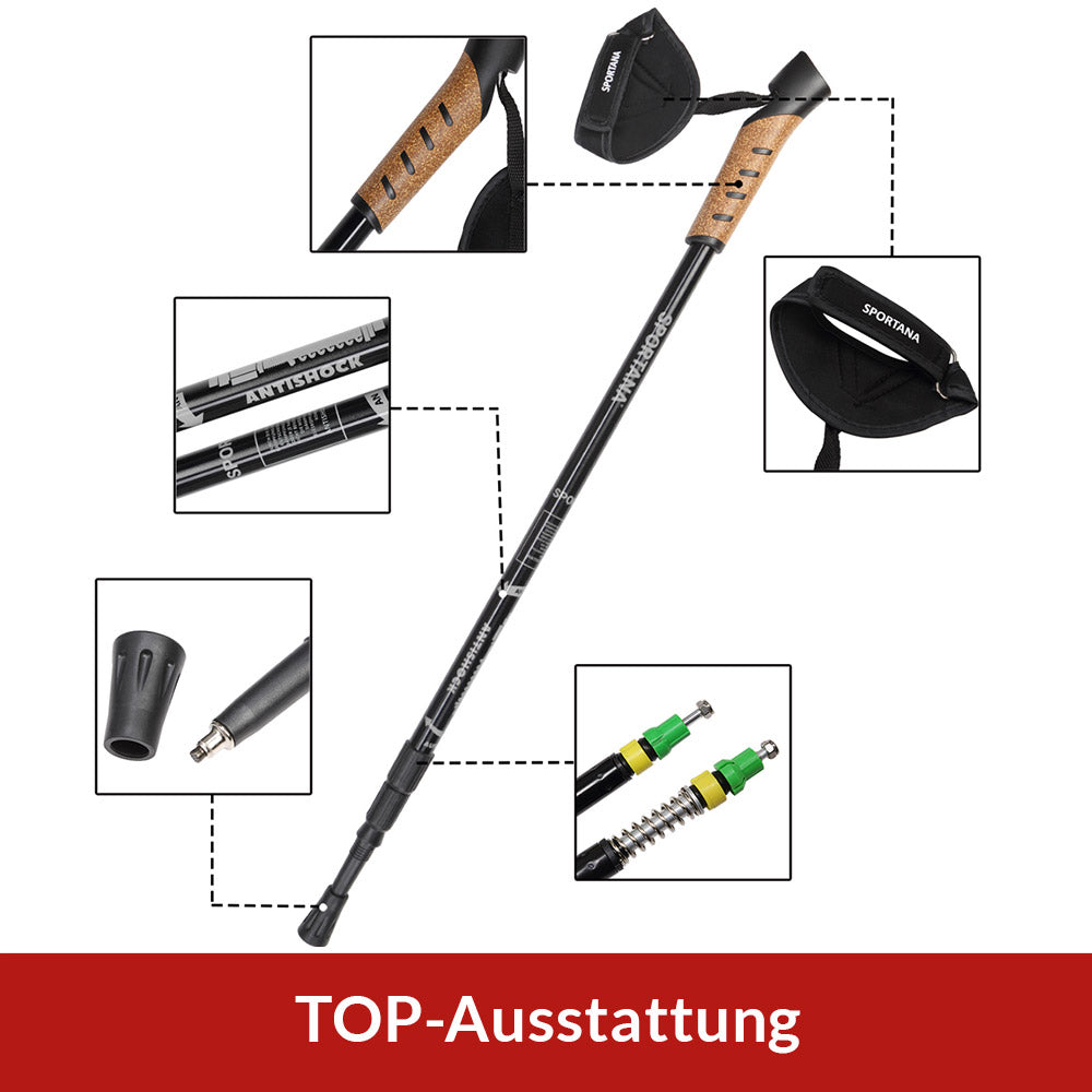 Racchette da Nordic Walking regolabili grigio alluminio