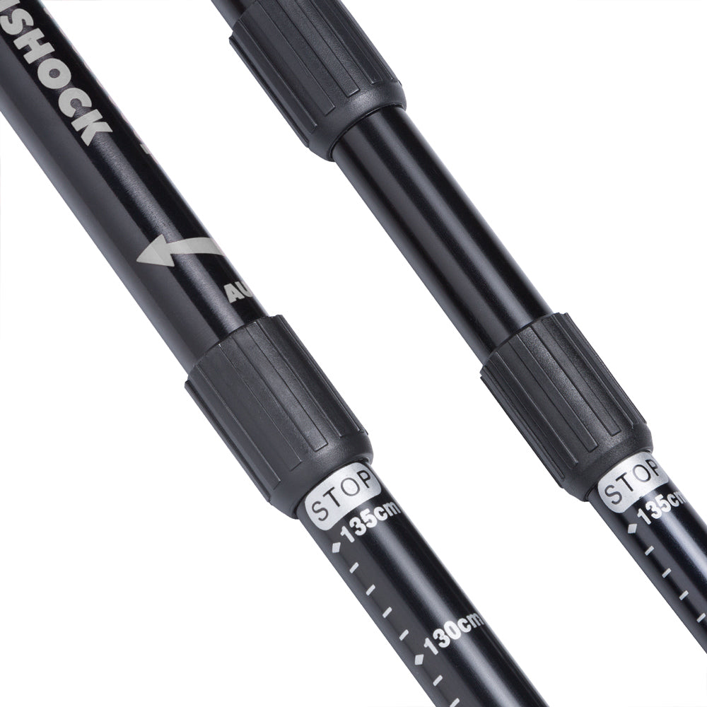 Racchette da Nordic Walking regolabili grigio alluminio