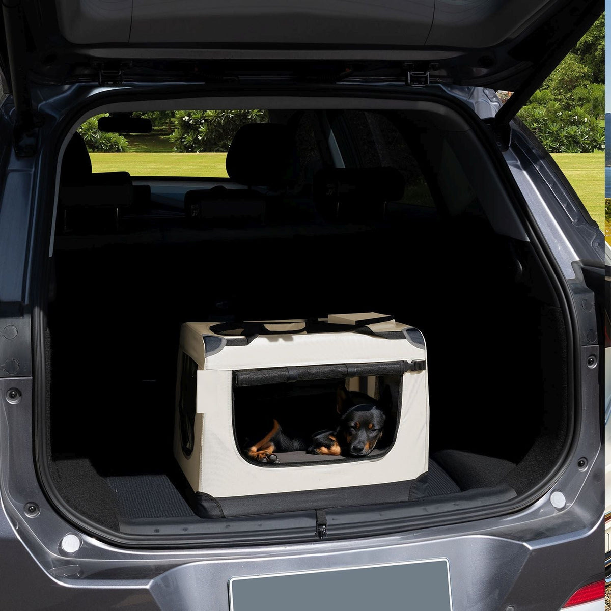 Box da trasporto per cani Lassie
