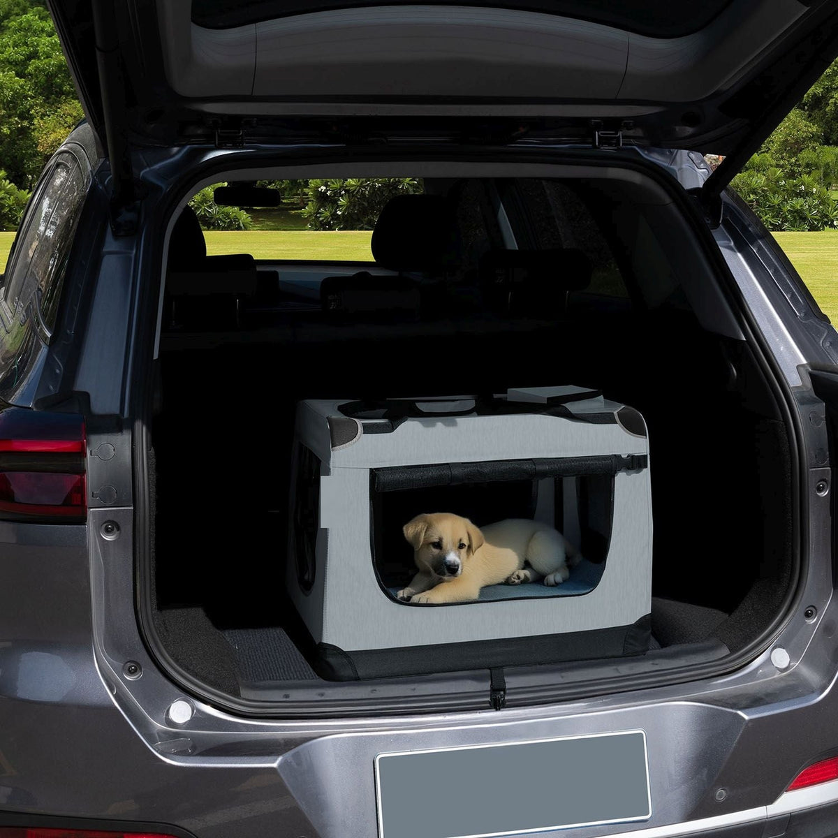 Box da trasporto per cani Lassie