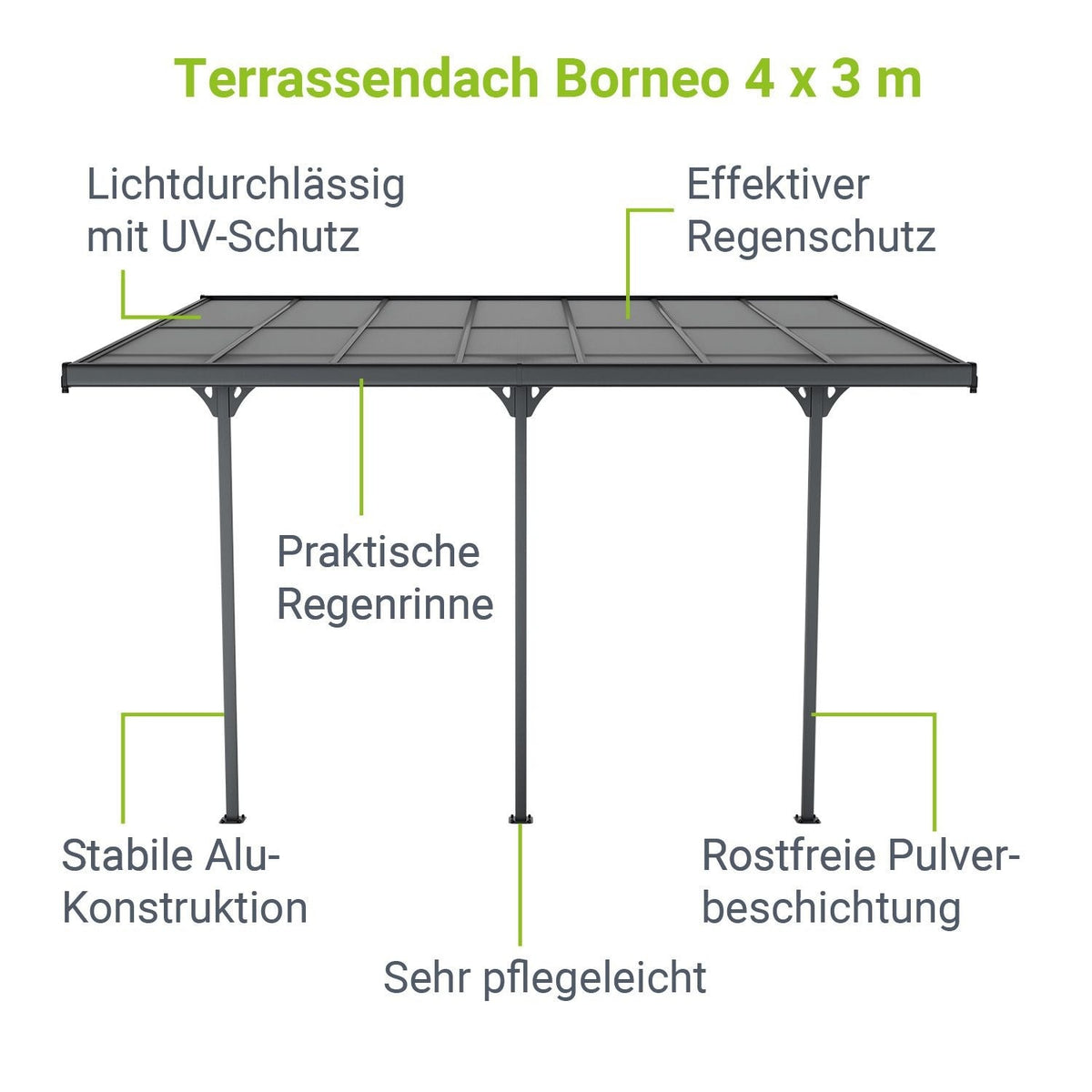 Tetto Borneo